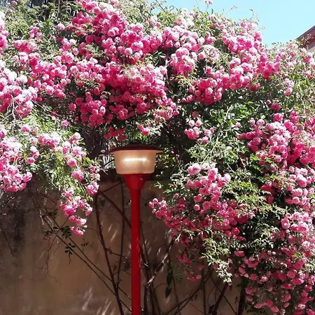 Casa Vacanze Guglielmo * Zafferana Etnea